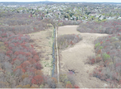 Broad Meadow Brook Restoration: Achieving Ecological Outcomes in an Urban Headwaters - Kate Bentsen