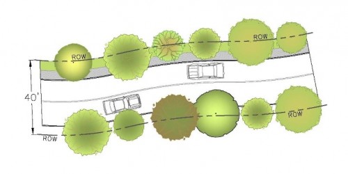 Green Streets Tree Canopy Designs