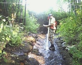 McQuesten Brook Geomorphic Assessment and Watershed Restoration Plan 
